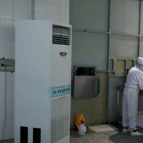 广东食品正负离子空气杀菌器